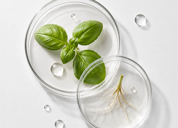 RootBioTec™ HW